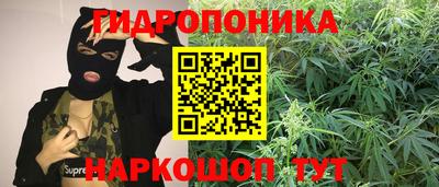 эйфоретик Нарткала