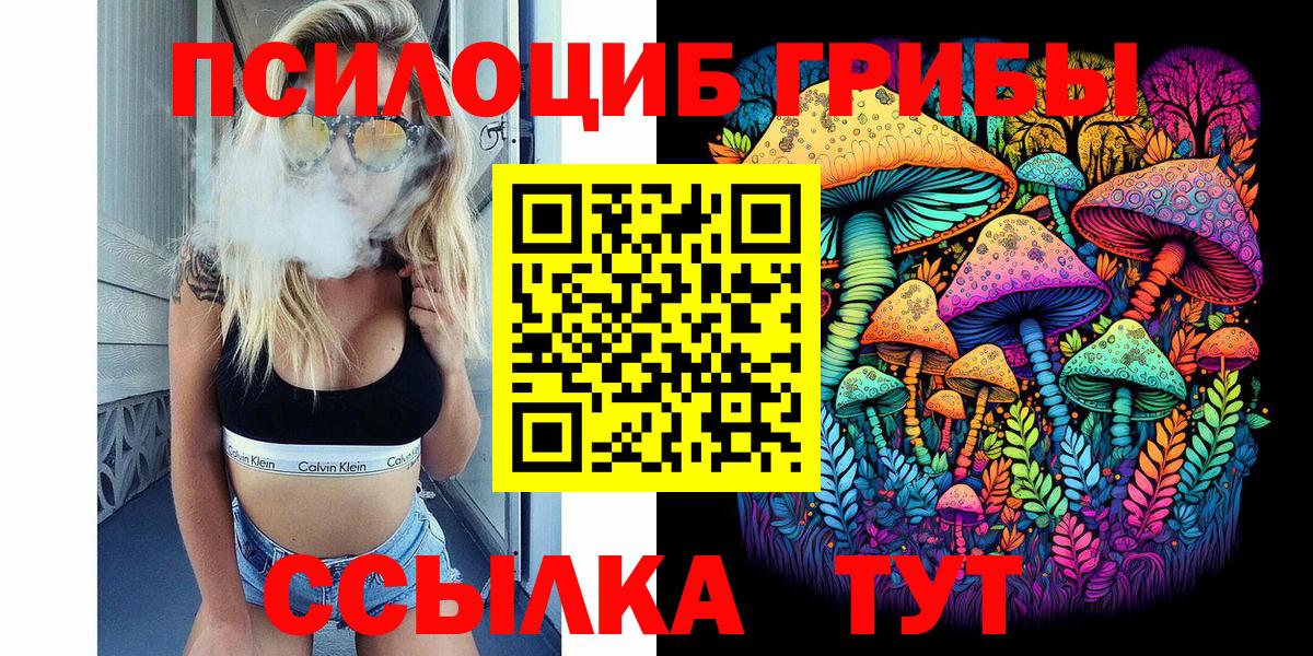 Псилоцибиновые грибы прущие грибы Чернушка